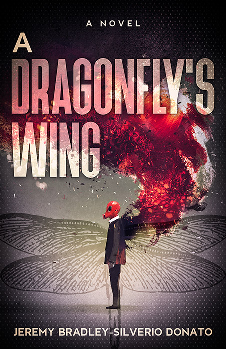 A-Dragonfly’s-Wing-cover